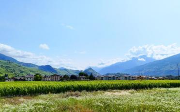 Villa 5.5 Zimmer - image - 1