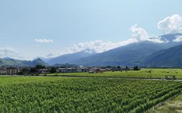 Villa 5.5 Zimmer - image - 5