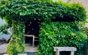 Furnished flat 2.5 rooms - image - 12