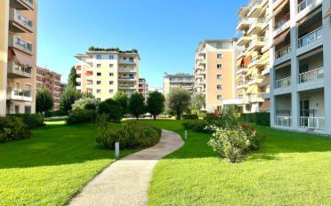 Wohnung 2.5 Zimmer - image - 1