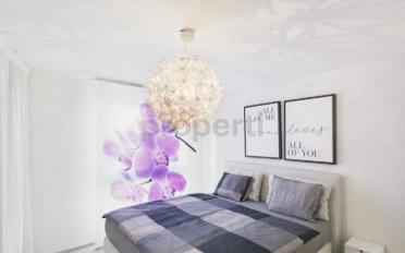 Möbl. Wohnobj. 4.5 Zimmer - image - 5