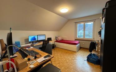 Attikawohnung 3 Zimmer - image - 5