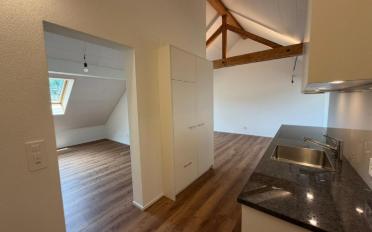 Roof flat 2.5 rooms - image - 4