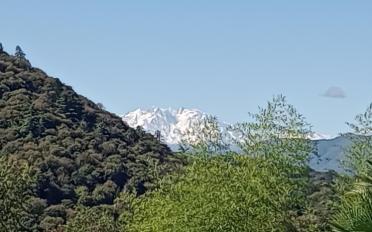 Maison 6.5 pièces - image - 11