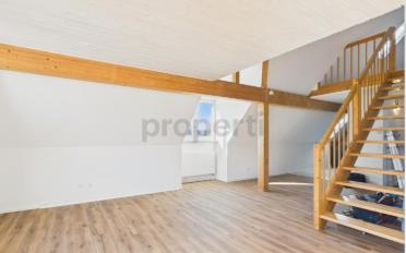 Duplex 4 pièces - image - 3