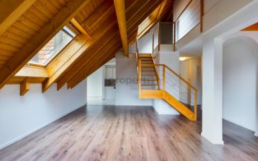 Duplex 5.5 pièces - image - 1