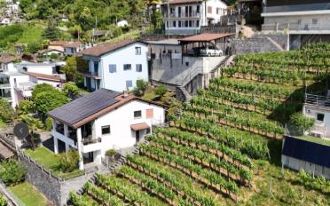 Terrain à bâtir - image - 1