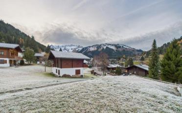 Wohnung 4.5 Zimmer - image - 9