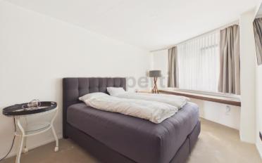 Wohnung 3.5 Zimmer - image - 7