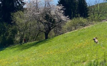 Appartement 3.5 pièces - image - 11