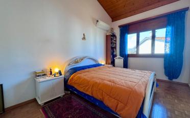 Einfamilienhaus 5.5 Zimmer - image - 3