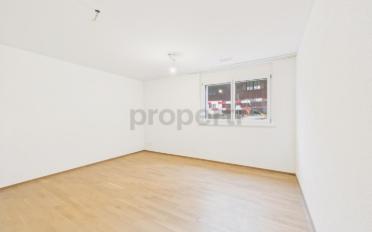 Wohnung 4.5 Zimmer - image - 9