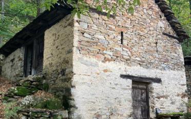 Reihenfamilienhaus 4 Zimmer - image - 1