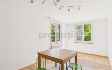 Wohnung 4.5 Zimmer - image - 4