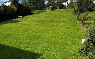 Building land 14 rooms - image - 1