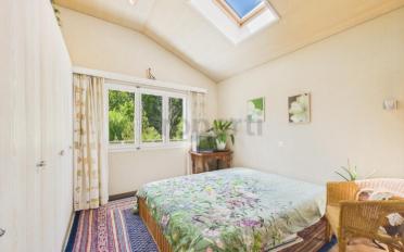 Single house 4 rooms - image - 7