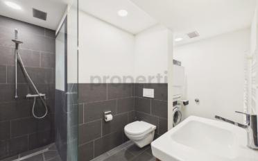 Duplex 2.5 rooms - image - 7