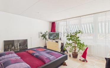 Wohnung 4.5 Zimmer - image - 4