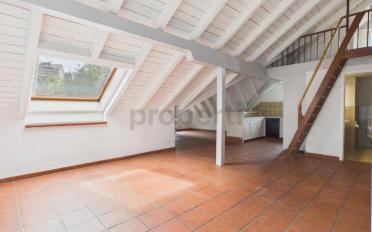 Roof flat 4.5 rooms - image - 2