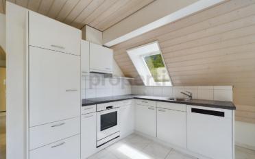 Roof flat 2.5 rooms - image - 4