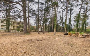 Building land - image - 6