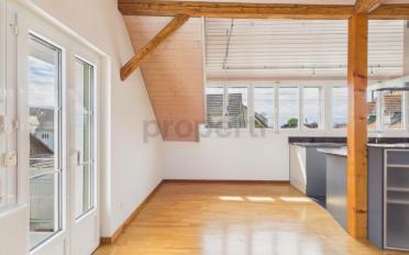 Roof flat 3.5 rooms - image - 2