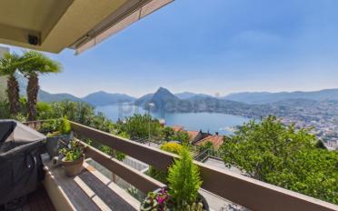 Terrace flat 3.5 rooms - image - 1