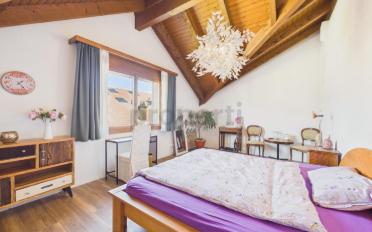 Duplex 4.5 rooms - image - 5