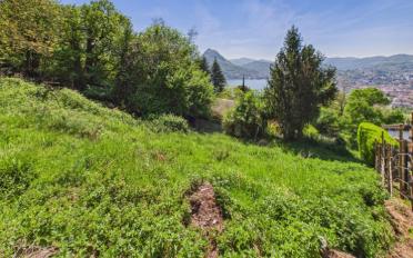 Bauland - image - 10