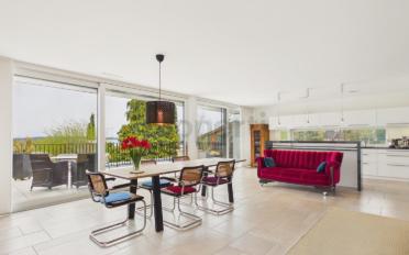 Terrassenwohnung 3.5 Zimmer - image - 2