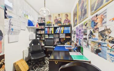 Wohnung 3.5 Zimmer - image - 6