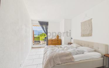 Villa 10 Zimmer - image - 8