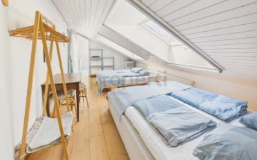 Villa 10 Zimmer - image - 11