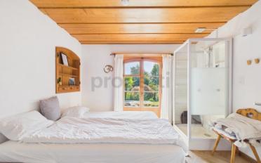 Villa 10 Zimmer - image - 9