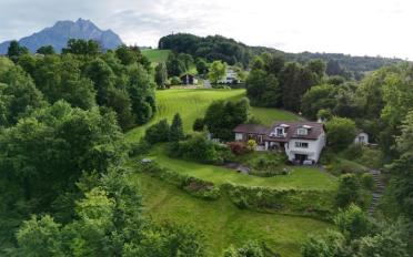 Villa 10 Zimmer - image - 2