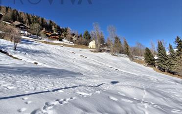 Bauland - image - 5
