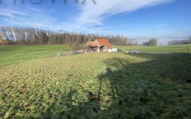 Einfamilienhaus 4.5 Zimmer - image - 2