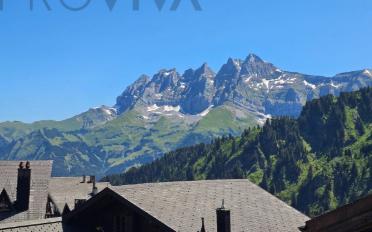 Chalet 10.5 rooms - image - 1