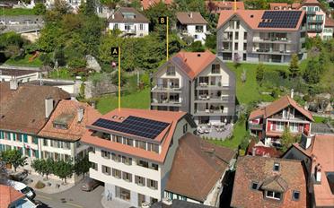 Wohnung 3.5 Zimmer - image - 6