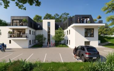 Wohnung 4.5 Zimmer - image - 5