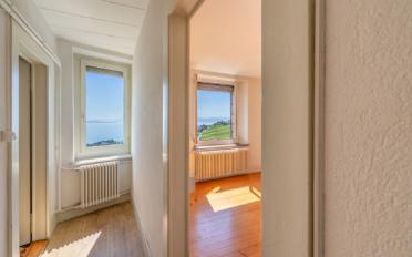 Gemischt genutzte Immobilie 11 Zimmer - image - 2