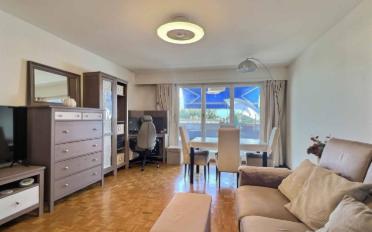 Wohnung 2.5 Zimmer - image - 1