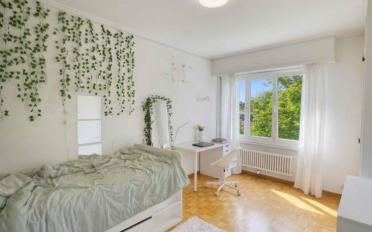 Wohnung 3.5 Zimmer - image - 5