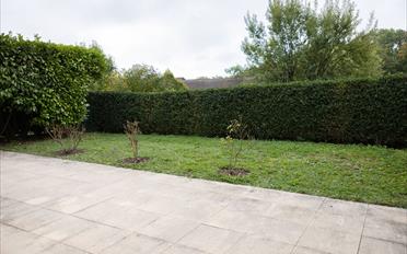 Terrace flat 2.5 rooms - image - 7