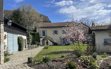 Single house - image - 1