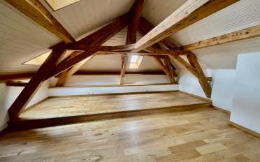 Maison jumelée 11 pièces - image - 2
