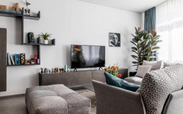 Apartment - image - 3
