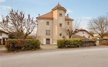Single house 13 rooms - image - 1