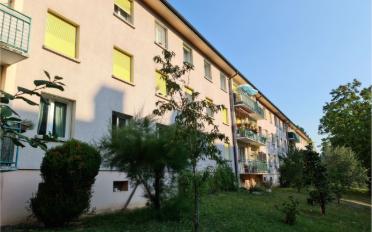 Wohnung 3.5 Zimmer - image - 1