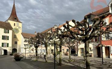 Attikawohnung 4.5 Zimmer - image - 8